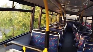 Poni amatir Inggris berbulu di bus umum